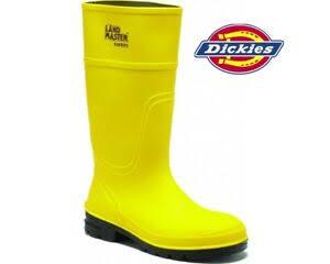 Botas de seguridad dickies hot sale